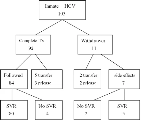 Figure 1. Flow chart of the treated HCV inmates. 