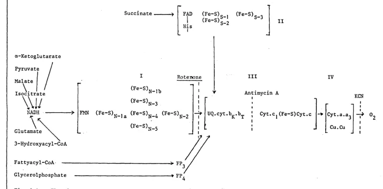 Fig. 1.1 