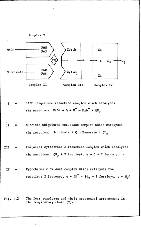 Fig. J. 2 