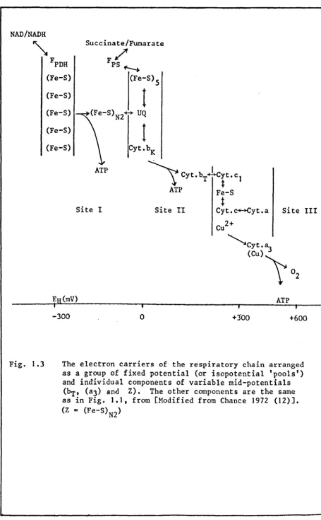 Fig. 1.3 