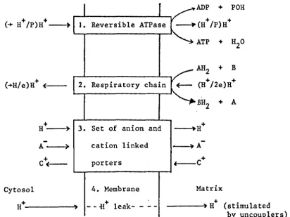Fig. 1.4 