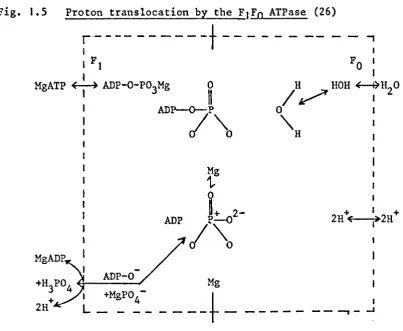 Fig. 1.5 