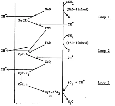 Fig. 1.6 