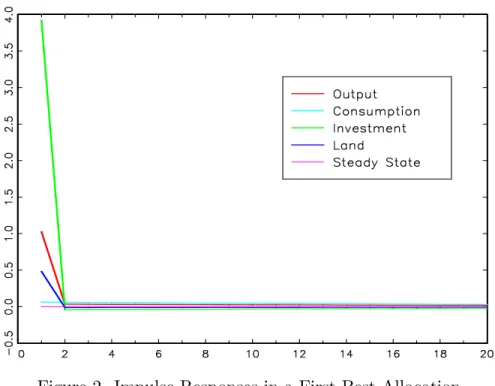 Figure 2. Impulse Responses in a First-Best Allocation.