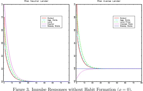 Figure 3. Impulse Responses without Habit Formation ( = 0).