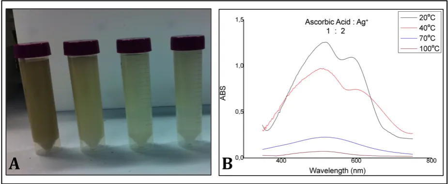 Figure 3.8. 1:2 ratio of ascorbic acid to Ag+, reaction temperatures from left to right: 20°C, 40°C, 70°C and 100°C (A) and the UV-Vis characterization of the 1:2 ratio at the same reaction temperatures (B)