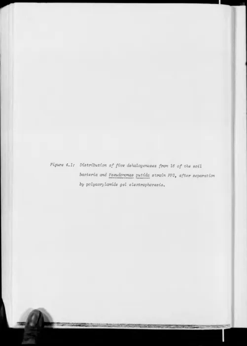 Figure 4,1:Distribution of five dehalogenases from 16 of the soil 