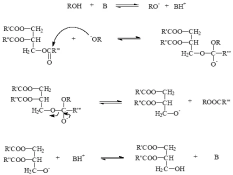 Figure 6. Transesterification reaction mechanism.  
