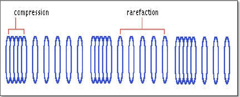 Figure 2.3. 