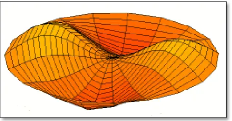 Figure 2.4: Ripple Tank of Water Wave (Adapted from Drum_vibration_mode01.gif) 