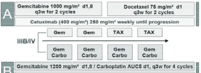 Table 1. Cetuximab: consistent results in the first-line non-small cell lung cancer (NSCLC)