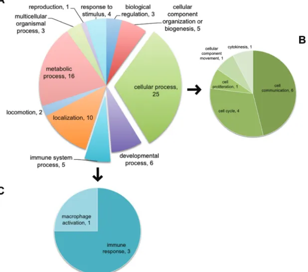 Figure 5: Using top 50 genes selected by Machine Learning, PANTHER identified GOs of cell cycle and cell proliferation  affected by L2 expression