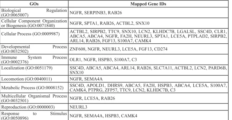 Table 3: PANTHER identified genes altered by L2.