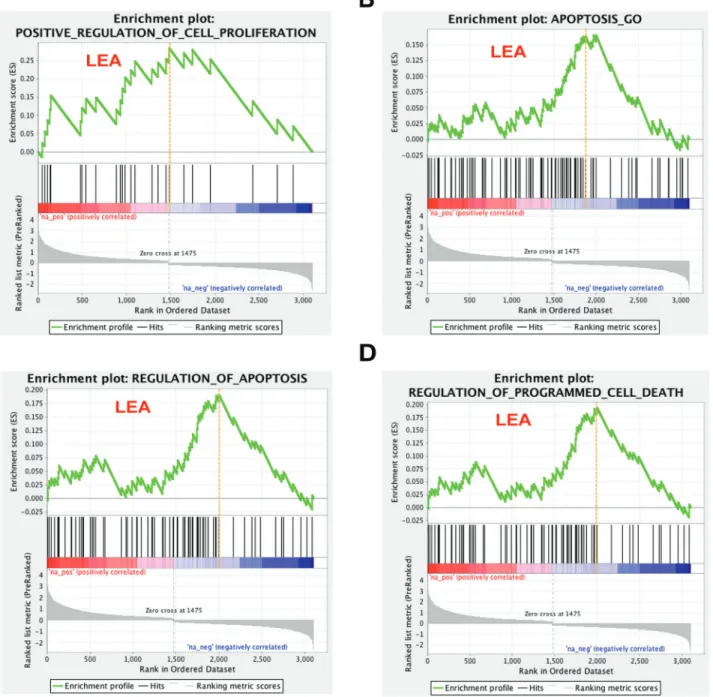 Figure 3: Cell proliferation and apoptosis related gene sets response to 16L2 expression