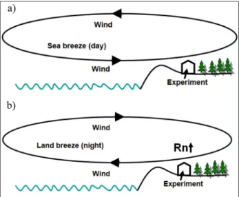 Fig. 7. Variations of radon activity concentration and wind direction