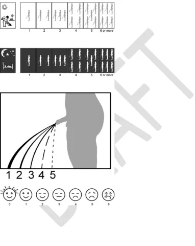 Fig. 1. Visual Prostate Symptom Score (VPSS) consisting of Q1: frequency, Q2: nocturia, Q3: stream and Q4: quality of life