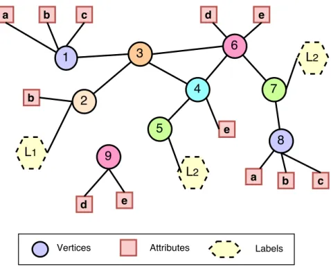 Figure 5.1: An example of a partially attributed graph.