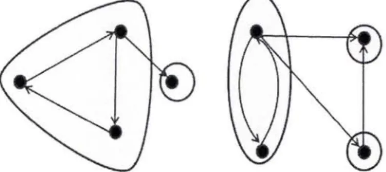 Figure 2.5 Weakly/Strongly connected components  (Newınan,  M.E.J., 2011) 