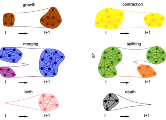 Figure 2.2 Possible structures for communities in dynamic networks [Palla et al., 2007].