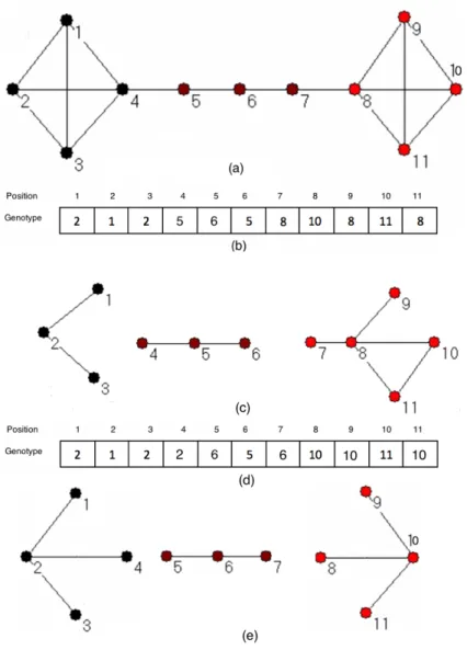 Figure 3.3 Genetic representation. (a) A simple graph with communities indicated by node colours