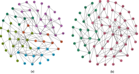 Figure 3.6 Dolphin network partition without heuristic. (a) Community structure obtained by MODPSO