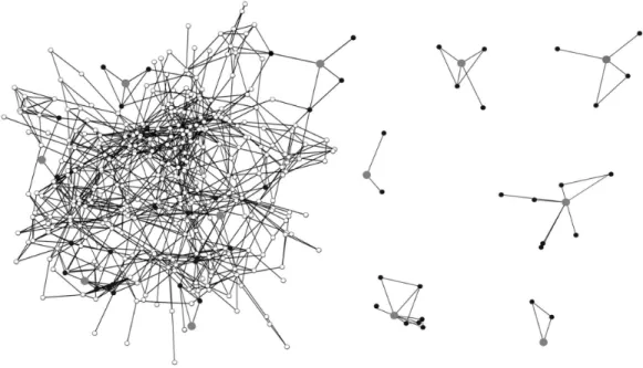 Figure 1 summarizes the problem of network sampling. Panel 1 in Figure 1 plots a typ- typ-ical (hypothettyp-ical) network structure