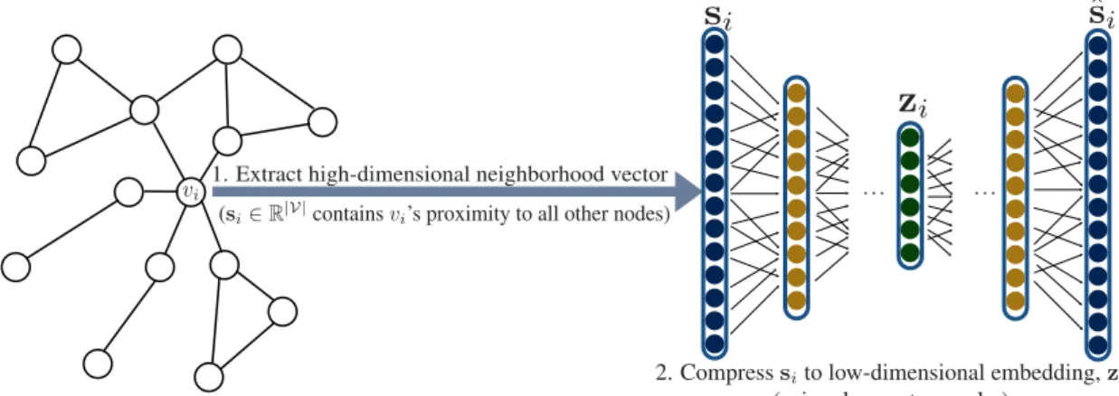 Figure 3: How neighborhood auto-encoder works in approaches SDNE and DNGR.