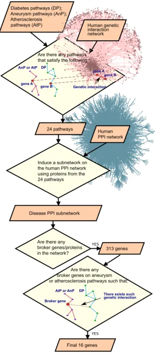 Figure 2.5. Work-flow of the study. Figure is taken from Sarajli´ c et al. [99].