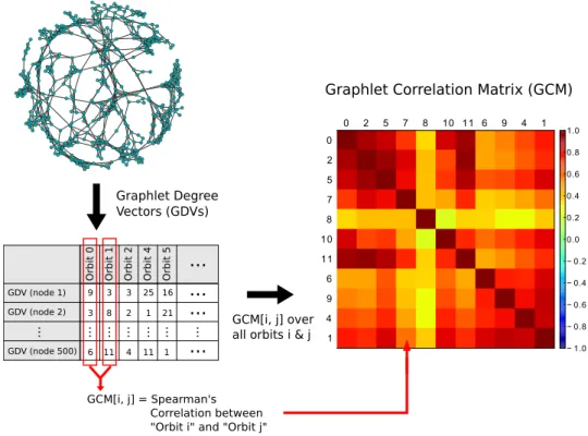 Figure 2.5: Graphlet Correlation Matrix computation is illustrated on a ge- ge-ometric network G with 500 nodes and 1% edge density (the network on the left)
