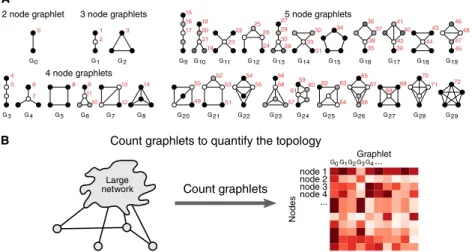 Fig 1. Graphlet counting in a network characterises its local topologies. (A) In total, there are 30 different graphlets containing 2 to 5 nodes, ranging from G 0 to G 29 