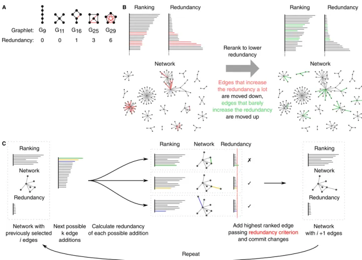 Fig 4. Predicted gene regulatory networks of model organisms are optimised to reduce the false positive rate
