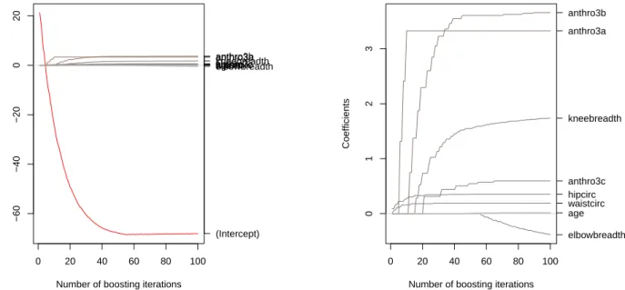 Figure 1: Coefficents paths with the body fat data, default plot (left) and with an adjusted y-scale (right).