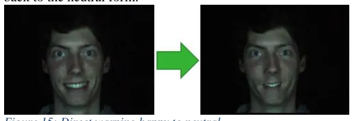 Figure 15: Direct warping happy to neutral 