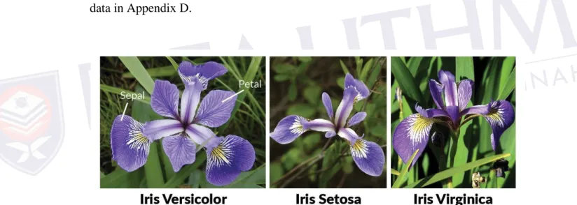 Figure 3.1: An Image of all Iris Species  