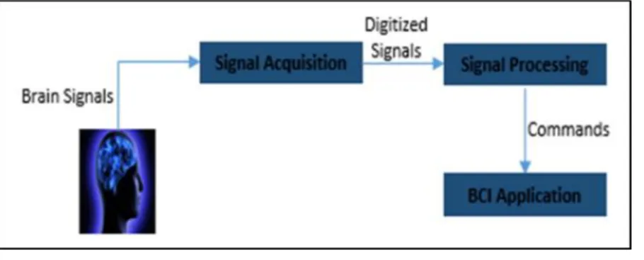 Figure 1. BCI system 