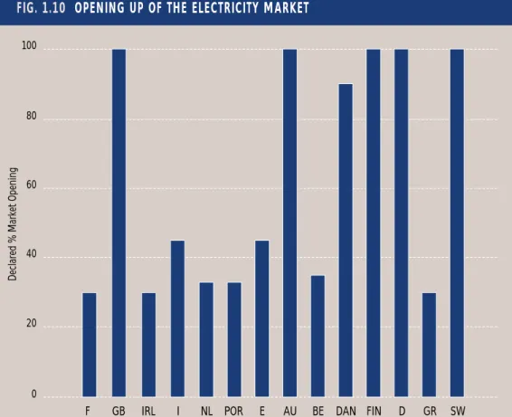 FIG. 1.10 OPENING UP OF THE ELECTRICITY MARKET