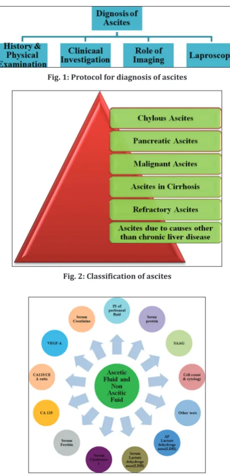 Fig. 1: Protocol for diagnosis of ascites