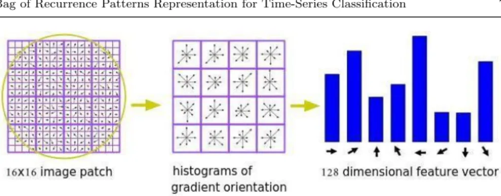 Fig. 3: The SIFT descriptor generation. First the gradient magnitude and orientation at each image sample point in a 16 × 16 patch is computed (left).