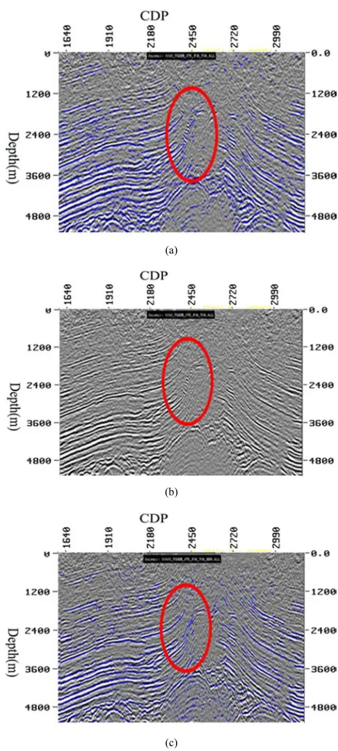 Figure 1. PSDM sections with different grid steps. (a) PSDM section with 4 surface survey interpolated by PSDM data shown in 1a