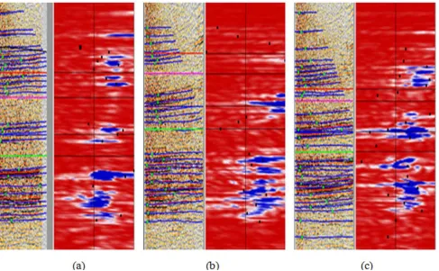 Figure 8. RMO pick of gathers at different structures using horizon constraint. (a) CIG gather locating at A