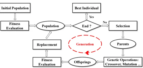 Figure 3.1: The Evolutionary Cycle