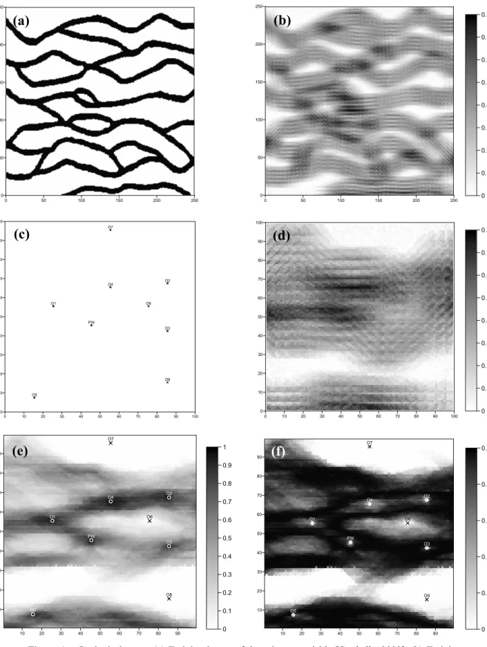 Figure 1. Geological setup. (a) Training image of the primary variable [Strebelle, 2002]