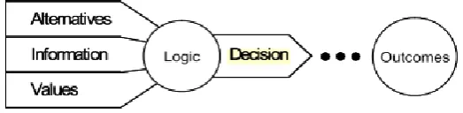 Figure 4: Representation of decision-making process (Mcnamee & Celona, 2008) 