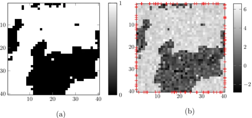 Figure 4.4: True fields for synthetic tests: (a) hidden label field Z 0 and (b) spatial loss field F 0 with N = 120 sensor locations marked with crosses.