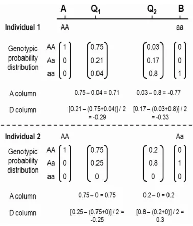 Figure 2.1: An illustration of a Markov-chain method for inferring QTL genotype. In this example, QTL Q 1 and Q 2 are flanked by markers A and B
