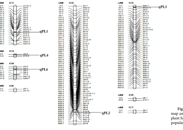 Figure 2. The chromosomal  map and QTLs controlling  plant height mapped in the F2:3  population
