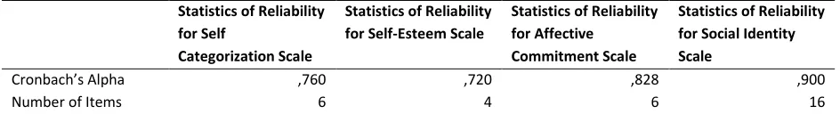 Figure 6: Reliabilities of the scales – self categorization, self-esteem, affective commitment, social identity 