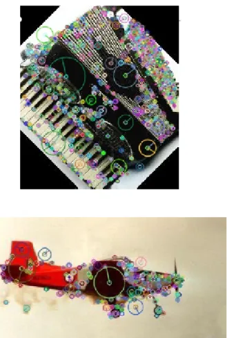 Figure 3: SIFT Keypoints Visualization from Caltech-101 Dataset