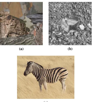 Figure 1.3: Examples of segmentation problems. (a) Image from the Prague texture segmentation benchmark [26]: mosaic with six texture regions, (b) texture mosaic generated from Kylberg texture images [31] including five texture regions, and (c) highly text