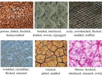 Fig. 1 We address the problem of describing textures by associating to them a collection of attributes